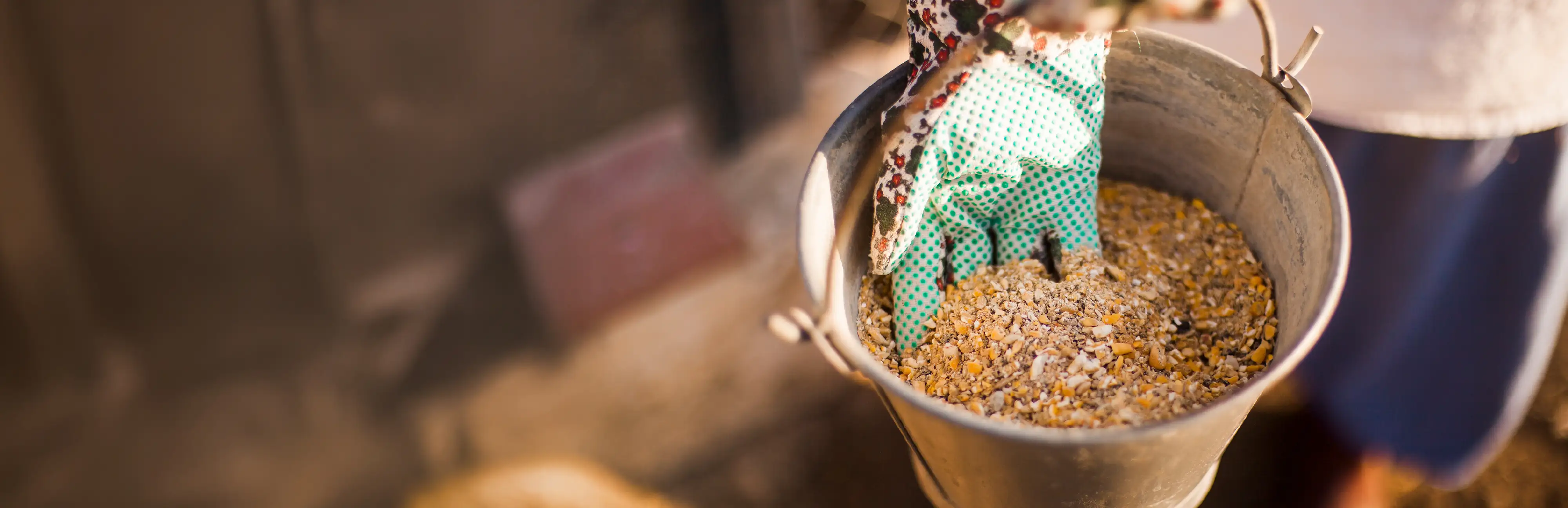 Beslenme Kaynaklı Hastalıklar