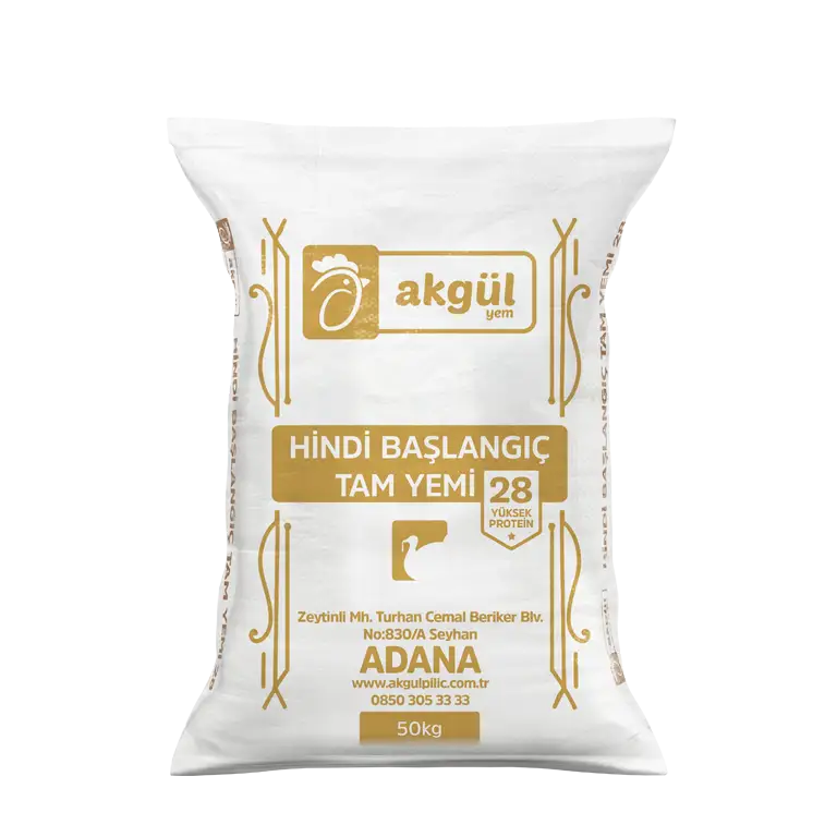 Hindi Başlangıç Tam Yemi 28