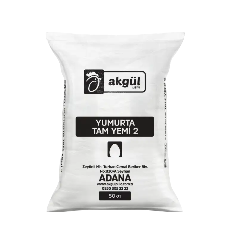 Yumurta Tam Yemi 2